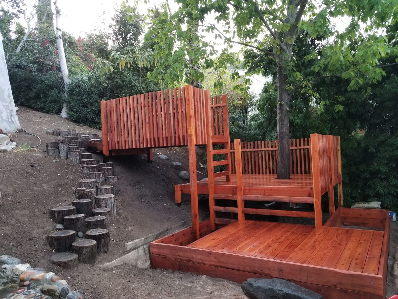 Redwood play structure built around a tree on a hillside