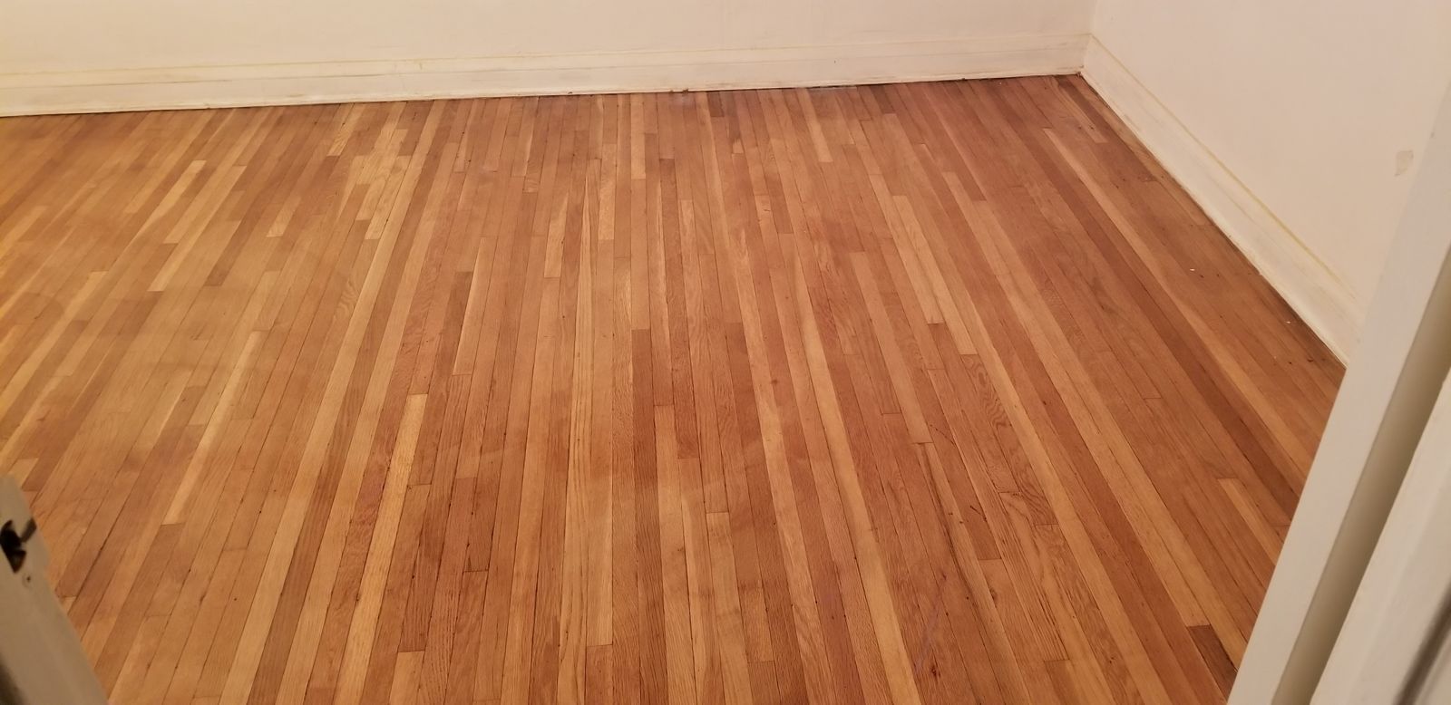 After: refinished hardwood floor with a warm glow